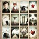 Oracle Modern Kipper - Francese