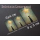 Oracle Petit Lenormand - IRINE -