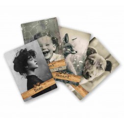 Oracle Modern Kipper - Francese