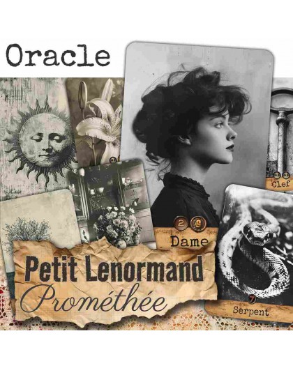 Oracle Petit Lenormand - IRINE -