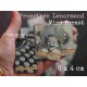 Oracle Petit Lenormand - IRINE -
