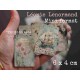 Oracle Petit Lenormand - IRINE -