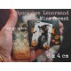 Oracle Petit Lenormand - IRINE -